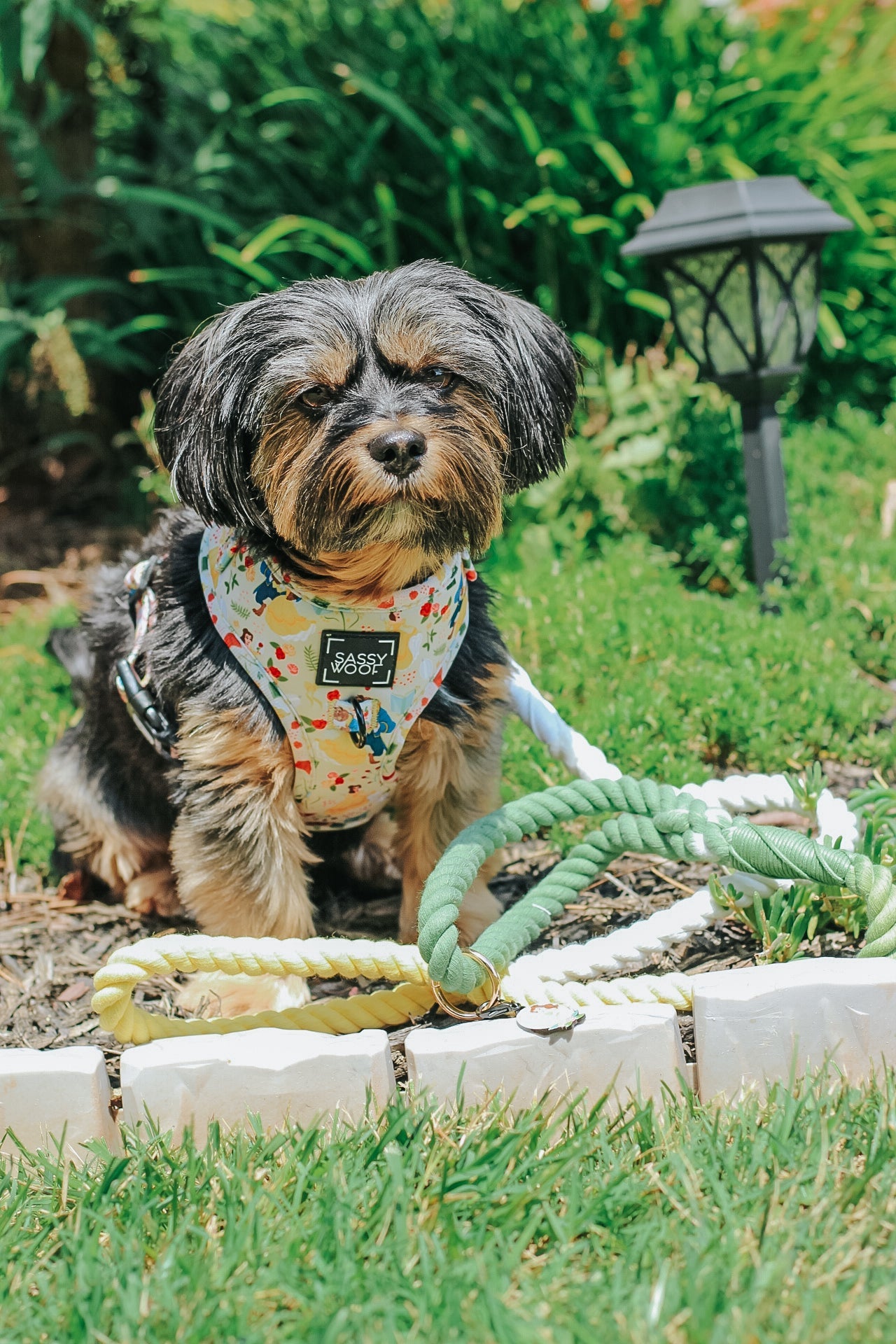 Dog Adjustable Harness - Disney's Belle