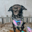 Dog Adjustable Harness - Reflection