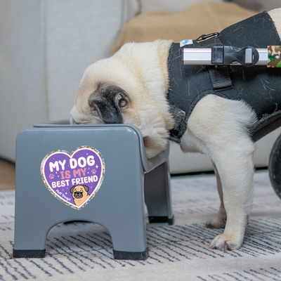 My Dog is My Best Friend Glitter Sticker