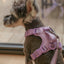 NO PULL ACTIVE  PET HARNESS - MINT PURPLE