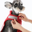 Reversible Dog Vest Jacket - Red