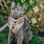 Dog Collar - Disney's Belle
