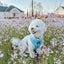 Dog Adjustable Harness - Blumond