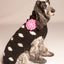 Black Polka Dot Pink Flower Dog Sweater