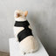 City Dog Harness