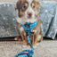 Dog Adjustable Harness - KEN™