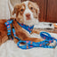 Dog Adjustable Harness - Blue's Clues™