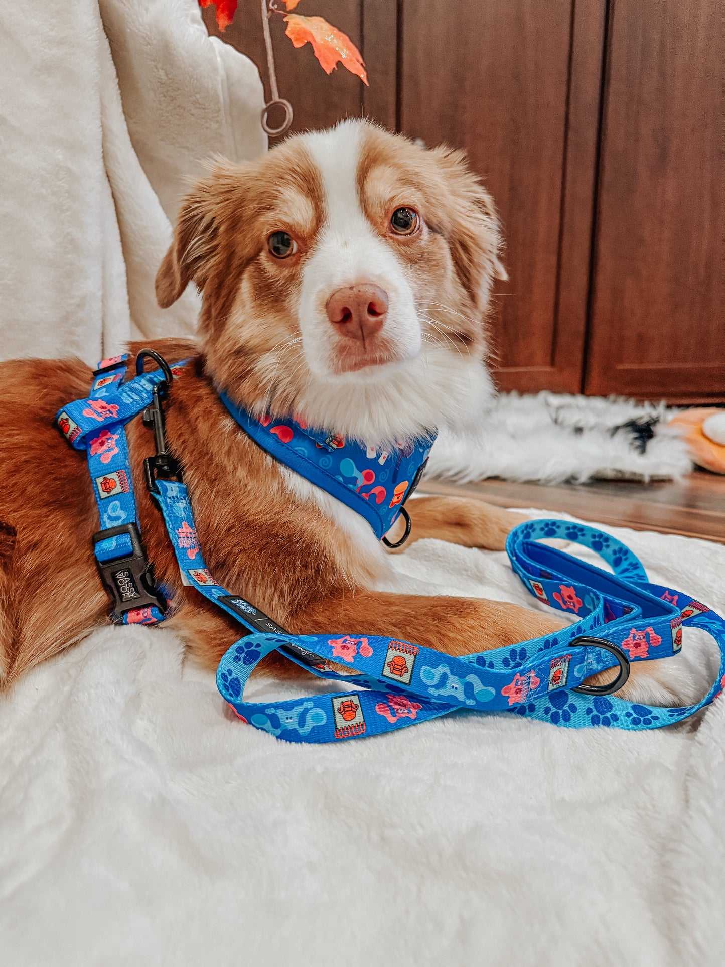 Dog Adjustable Harness - Blue's Clues™
