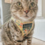 Cat Step-In Harness - Zest Friends