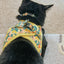 Cat Collar - Zest Friends