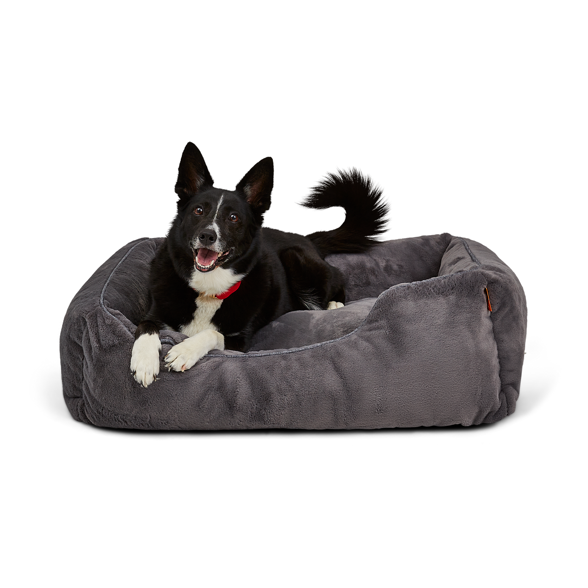 The Sammy Dog Bed Cover
