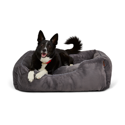 The Sammy Dog Bed Cover
