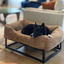 The FÜZI Elevated Dog Bed