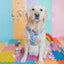 Dog Adjustable Harness - Nickelodeon Rugrats™