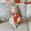 Cat Step-In Harness - Garfield™️