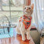 Cat Step-In Harness - Garfield™️