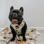 Dog Adjustable Harness - Haunt Mess
