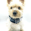 'Bobby' Reversible Pet Snood