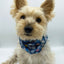 'Blair' Reversible Pet Snood