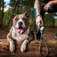 Upcycled Climbing Rope Dog Leash