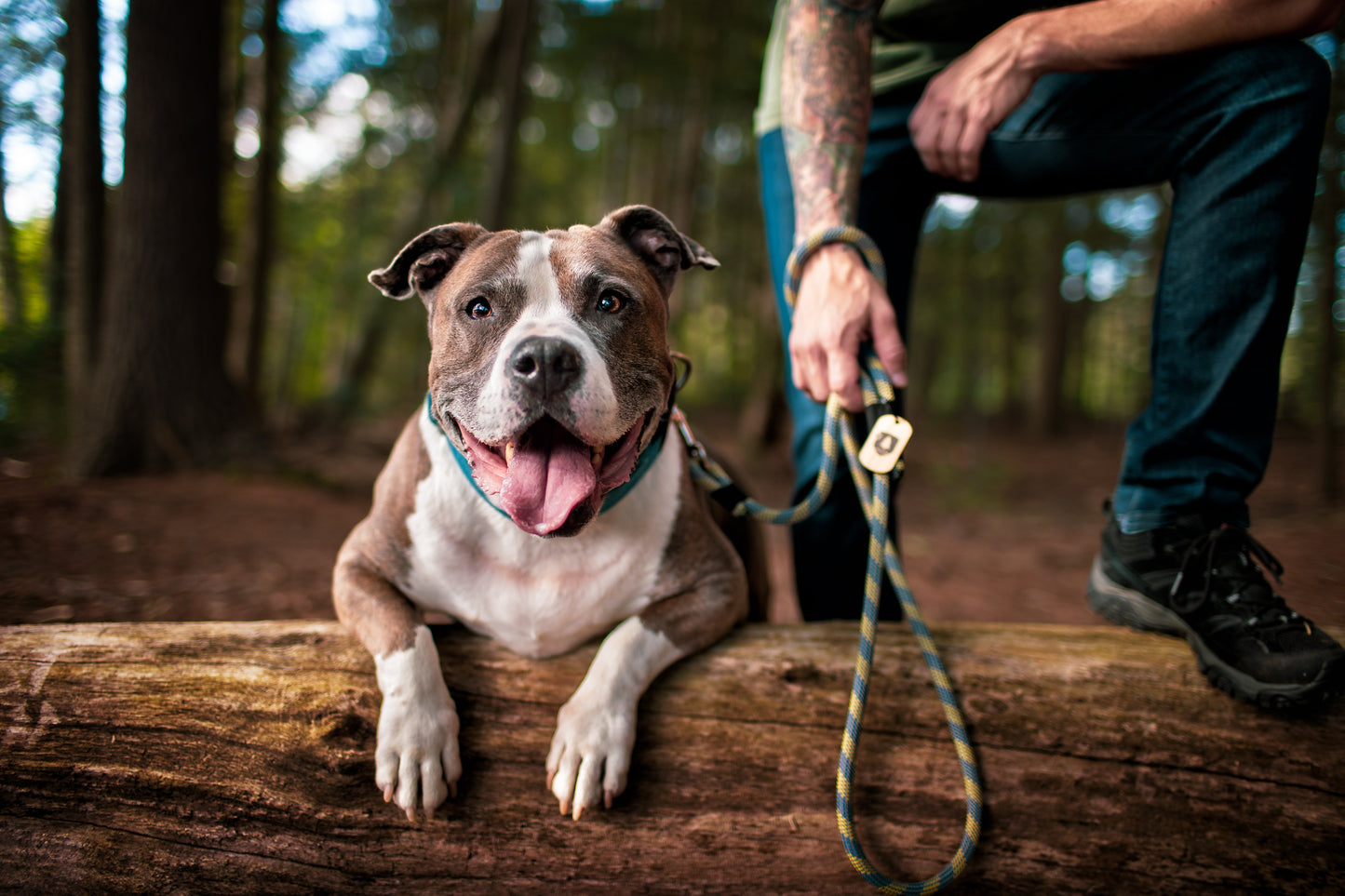 Upcycled Climbing Rope Dog Leash