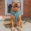 Dog Adjustable Harness - Nickelodeon CatDog™