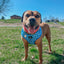 Dog Adjustable Harness - KEN™