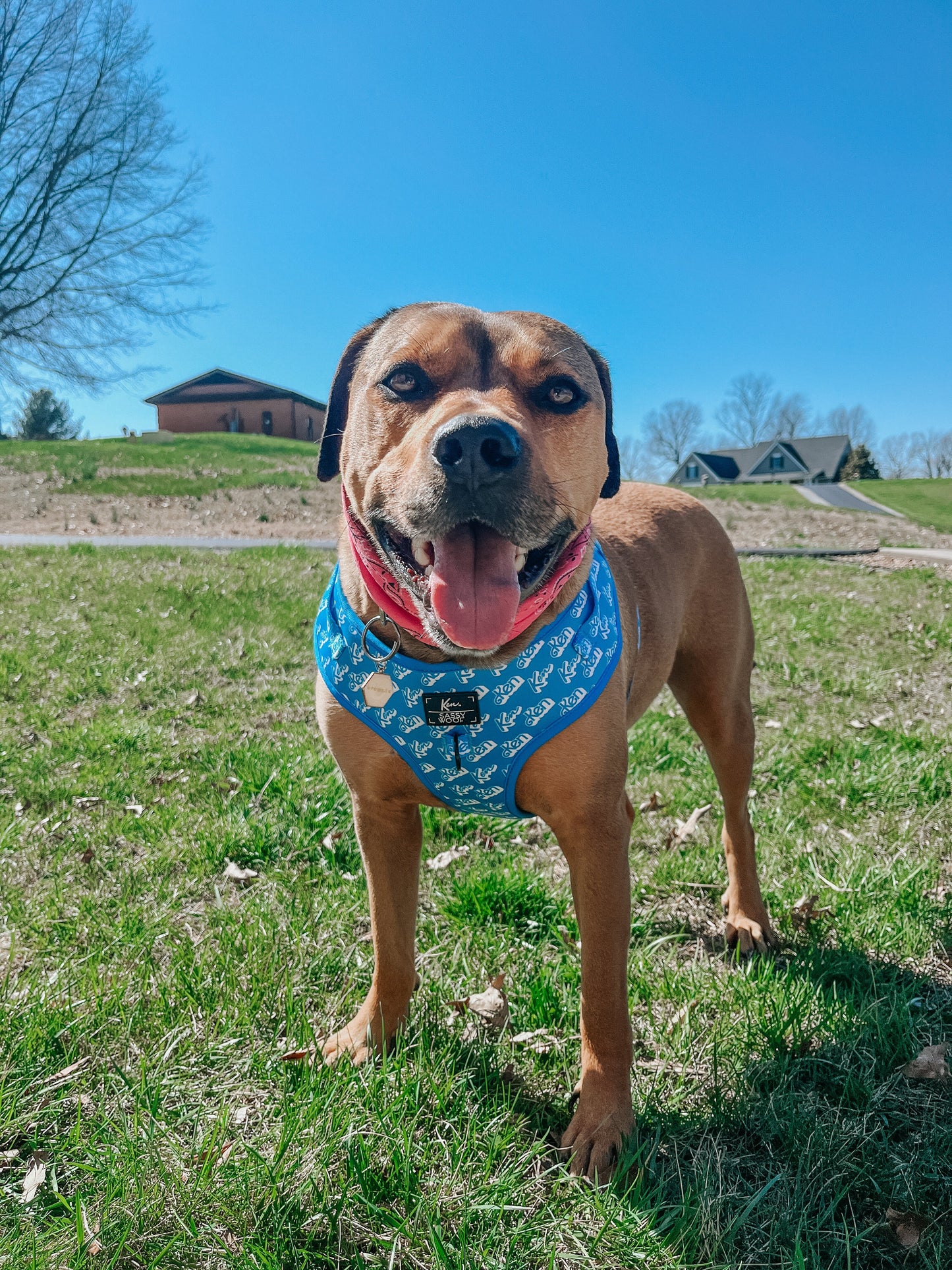 Dog Adjustable Harness - KEN™