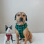 Dog Adjustable Harness - Barks of Holly