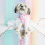 Dog Collar - Care Bears™ Cheer Bear