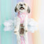 Dog Adjustable Harness - Care Bears™ Cheer Bear