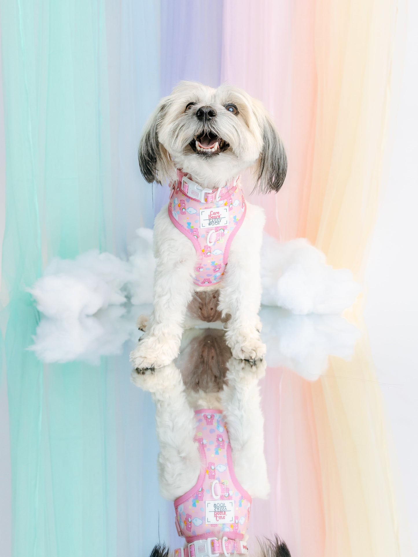 Dog Adjustable Harness - Care Bears™ Cheer Bear