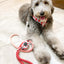 Dog Rope Leash - Poppy