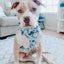 Dog Adjustable Harness - Berry Sassy