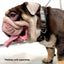 K9R - BCH Big Dog Collar Heavy Duty