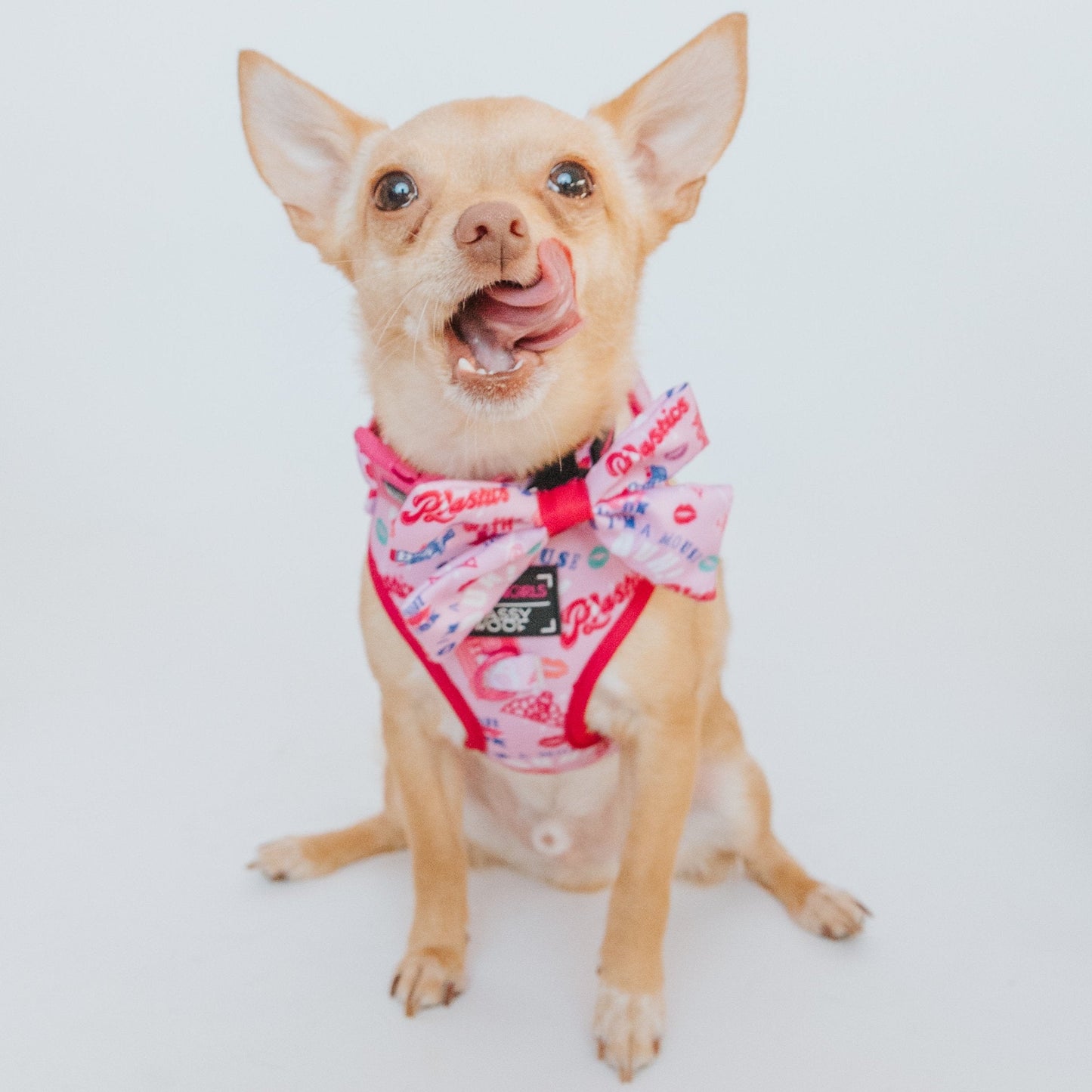 Dog Adjustable Harness - Mean Girls™
