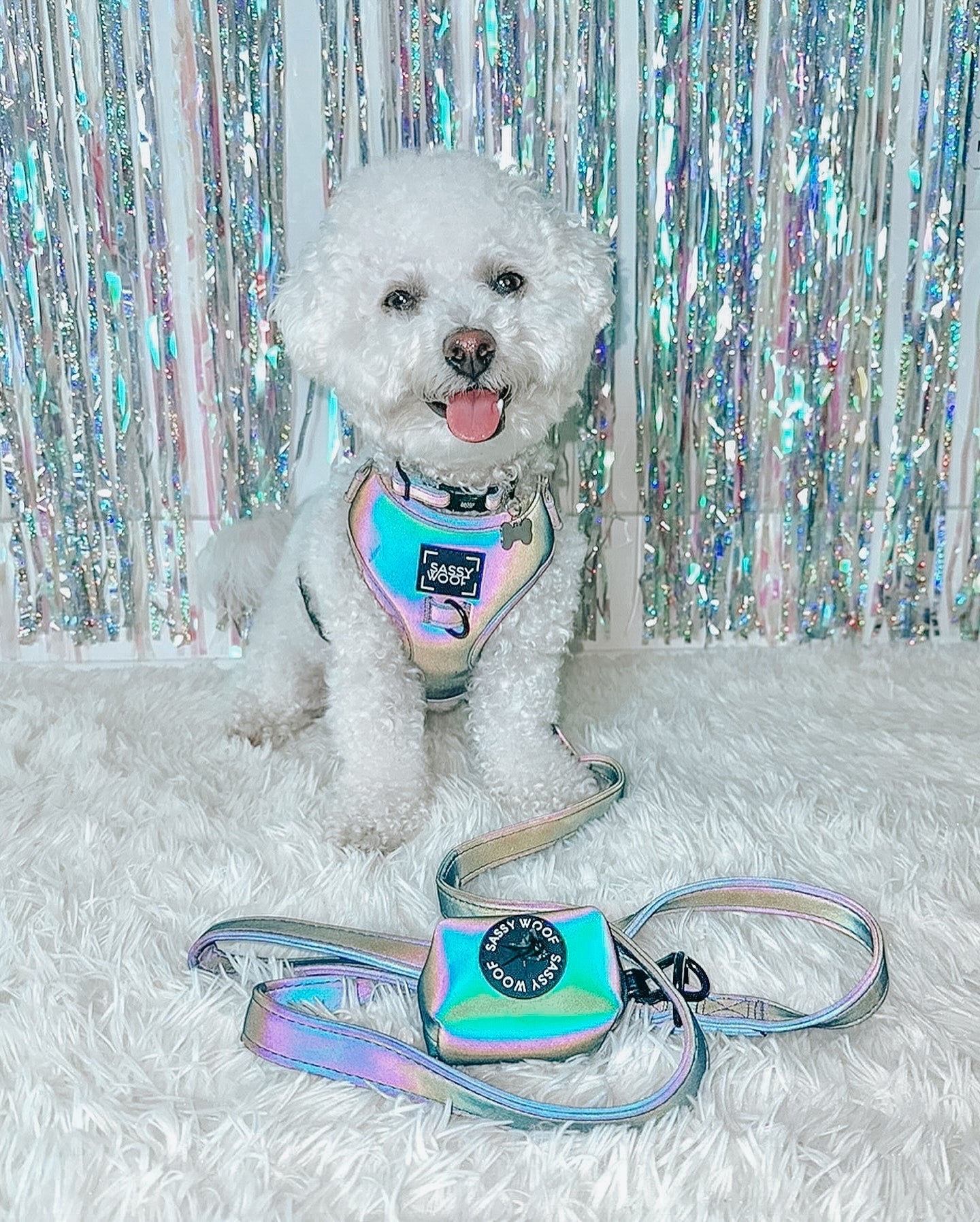 Dog Adjustable Harness - Reflection