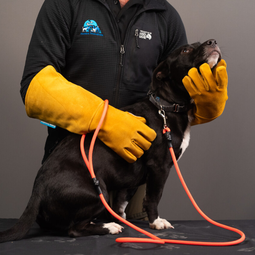Bite Boss Gloves