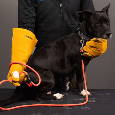 Bite Boss Gloves