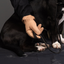 Bite Vanquisher Pro