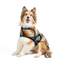 Black Canyon Dog Blanket Coat