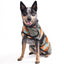 Black Canyon Dog Blanket Coat