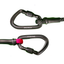 Black Diamond Summit Screw Gate Dog Leash