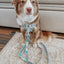 Dog Adjustable Harness - Care Bears™ Care-a-Lot