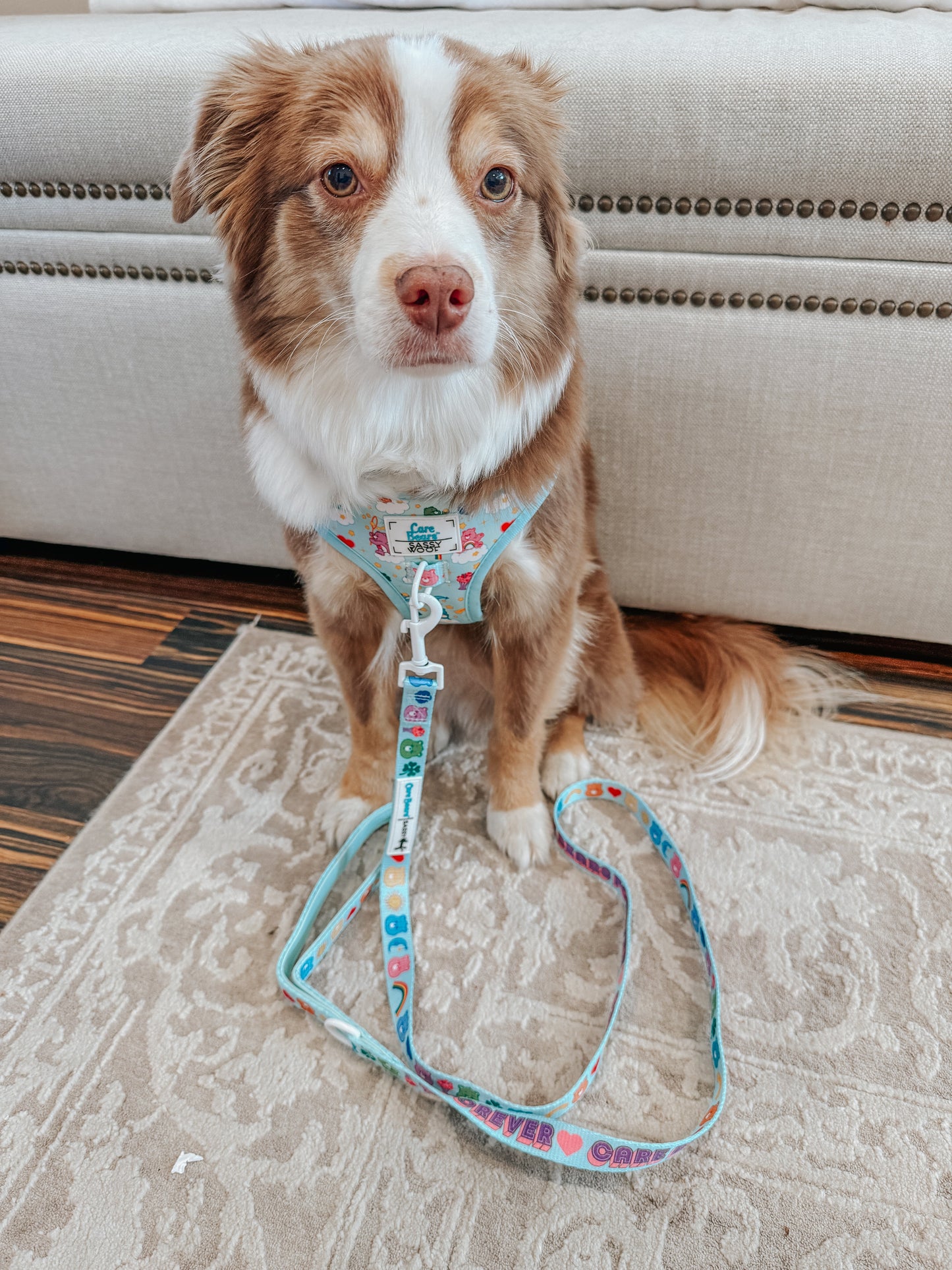 Dog Leash - Care Bears™ Care-a-Lot