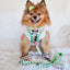 Collar Tag - Blossom™