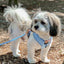 Dog Adjustable Harness - Blumond