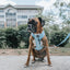 Dog Adjustable Harness - Blumond