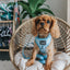 Dog Adjustable Harness - Blumond