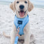 Dog Adjustable Harness - Blumond